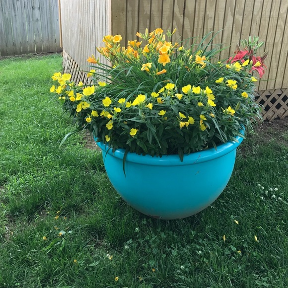 Meet your Posher, Marsha - Picture 3 of 8